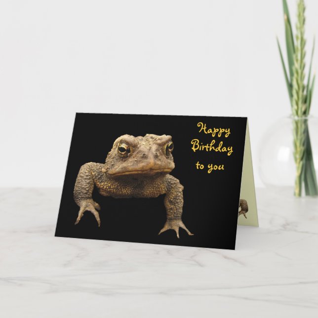 American Toad Birthday Card (Front)
