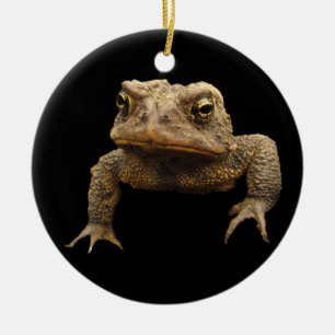 American Toad Ceramic Tree Decoration