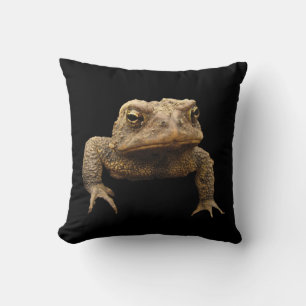 American Toad Cushion