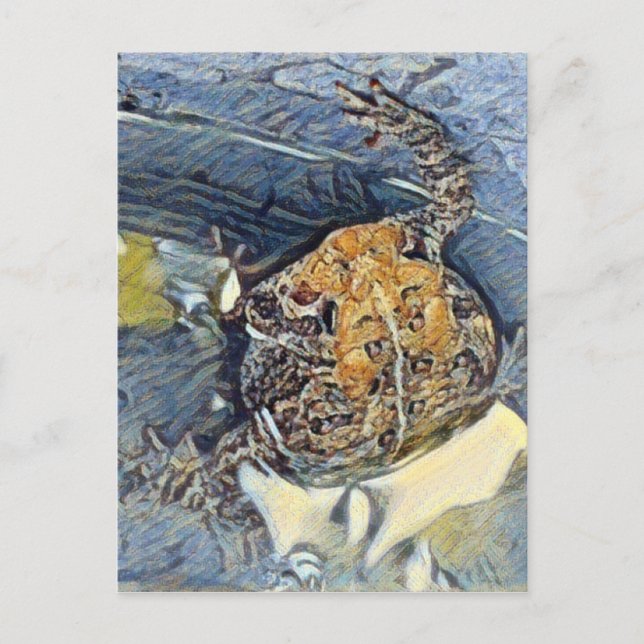 American Toad Digital Painting Postcard (Front)
