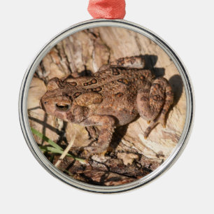 American Toad Metal Tree Decoration