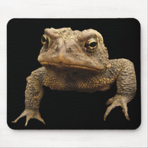 American Toad Mouse Mat