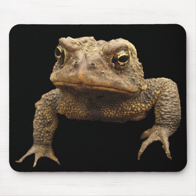 American Toad Mouse Mat (Front)