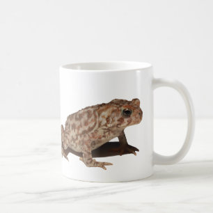 American Toad Mug