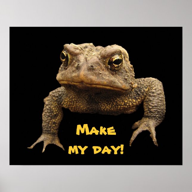 American Toad Poster (Front)