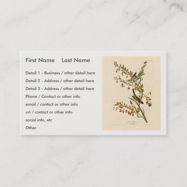 American Tree Sparrow, Audubon's Birds of America Business Card (Front)