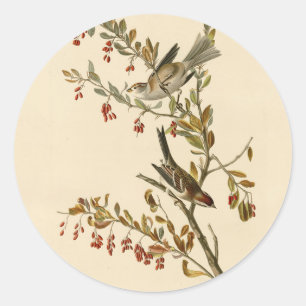 American Tree Sparrow, Audubon's Birds of America Classic Round Sticker