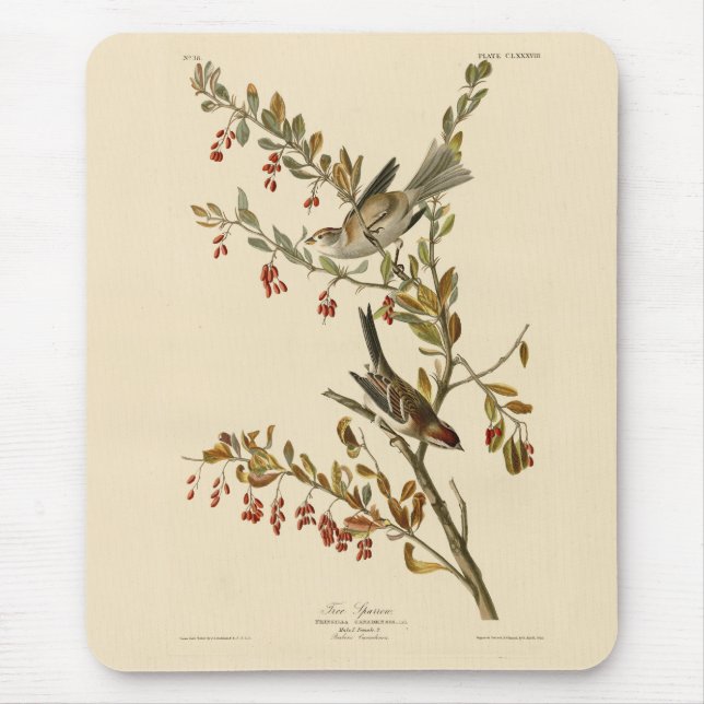 American Tree Sparrow, Audubon's Birds of America  Mouse Mat (Front)