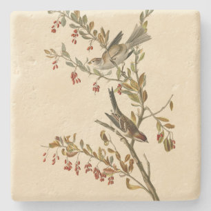 American Tree Sparrow, Audubon's Birds of America Stone Coaster