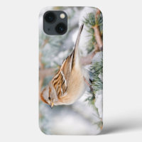 American Tree Sparrow in winter