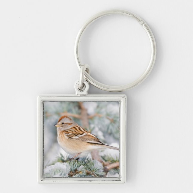 American Tree Sparrow in winter Key Ring (Front)