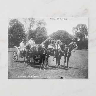 American Troika 1911 Postcard