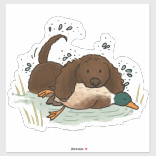 American Water Spaniel Car Decal