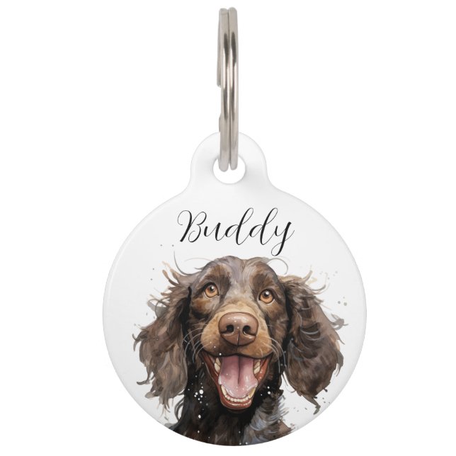 American Water Spaniel Name ID tag (Front)