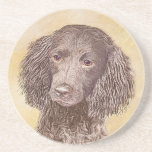 American Water Spaniel Painting - Original Dog Art Coaster