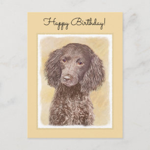 American Water Spaniel Painting - Original Dog Art Postcard