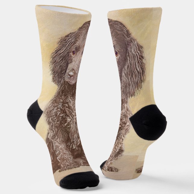 American Water Spaniel Painting - Original Dog Art Socks (Angled)