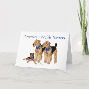 American Welsh Terriers Card