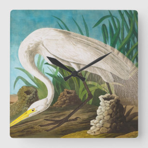 American White Heron by John James Audubon Square Wall Clock