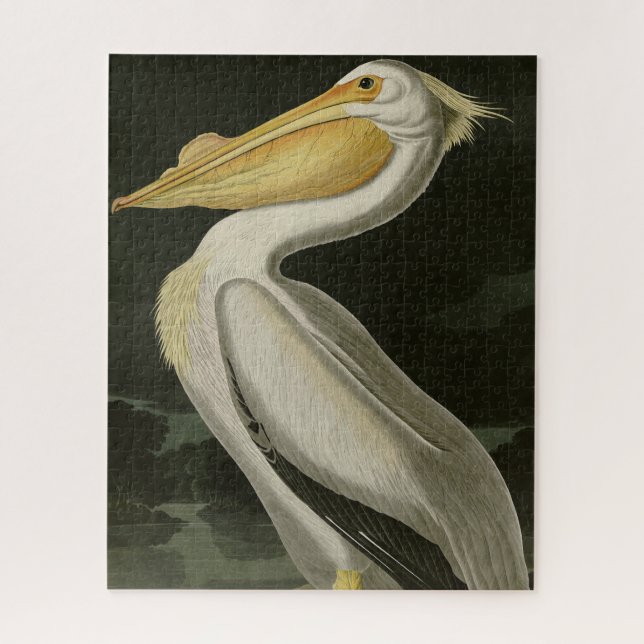 American White Pelican, Audubon's Birds of America Jigsaw Puzzle (Vertical)