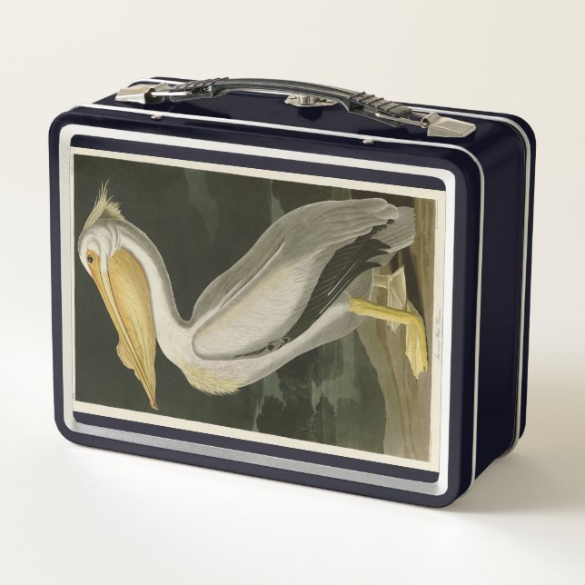 American White Pelican, Audubon's Birds of America Metal Lunch Box (Back)