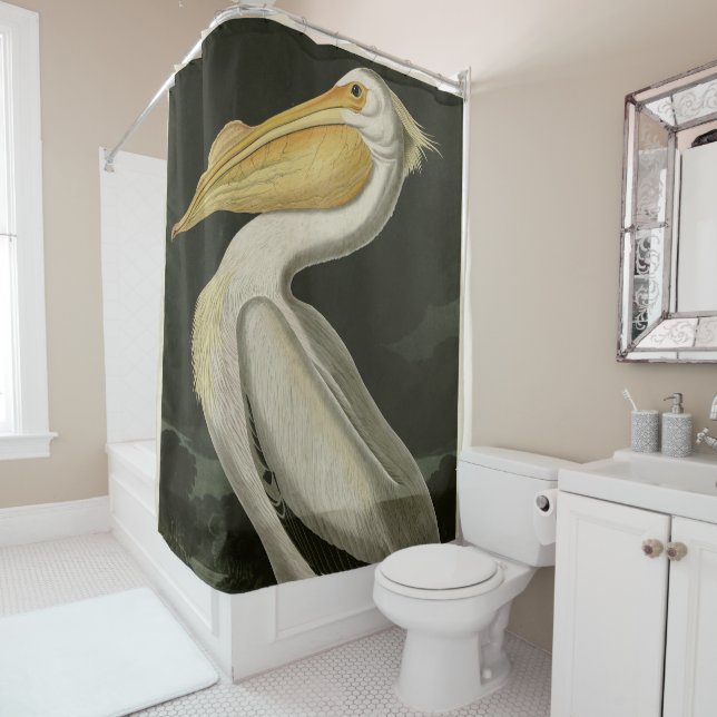 American White Pelican, Audubon's Birds of America Shower Curtain (In Situ)