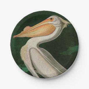 American White Pelican Birds of America Audubon Paper Plate