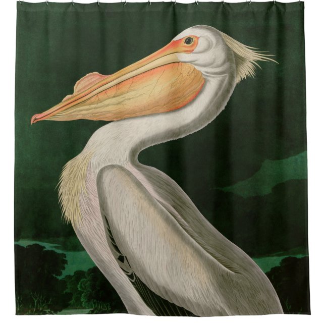 American White Pelican Birds of America Audubon Shower Curtain (Front)