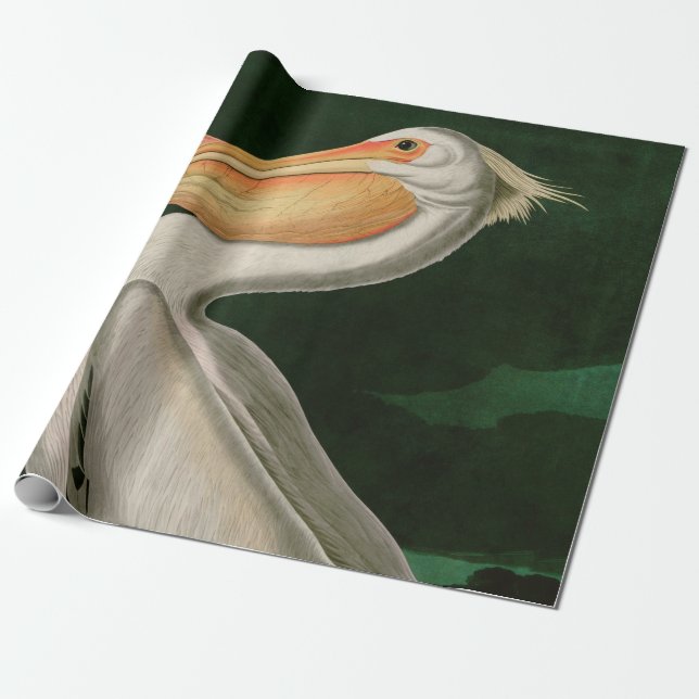 American White Pelican Birds of America Audubon Wrapping Paper (Unrolled)