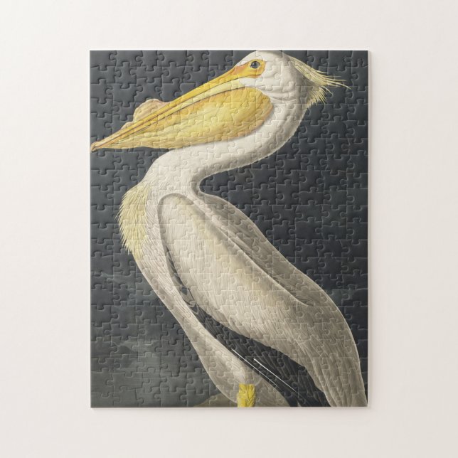American White Pelican from Birds of America Jigsaw Puzzle (Vertical)