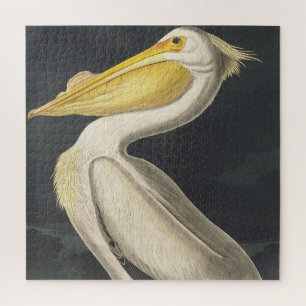 American White Pelican from Birds of America Jigsaw Puzzle