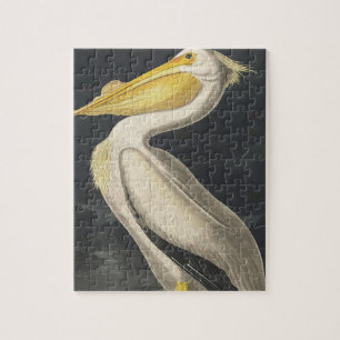 American White Pelican from Birds of America Jigsaw Puzzle