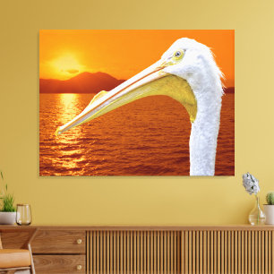 American White Pelican sunset Canvas Print