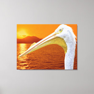 American White Pelican sunset in Corfu Canvas Print