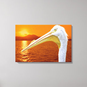 American White Pelican sunset in Corfu Canvas Print