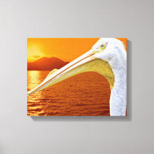 American White Pelican sunset in Corfu Canvas Print