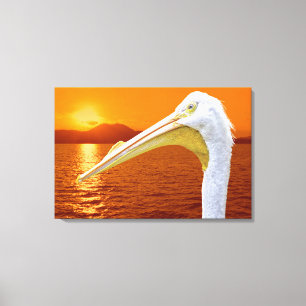 American White Pelican sunset in Corfu Canvas Print