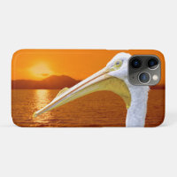 American White Pelican sunset in Corfu