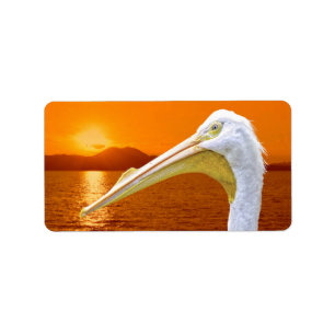 American White Pelican sunset in Corfu Label