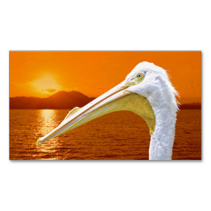 American White Pelican sunset in Corfu  Magnetic Business Card