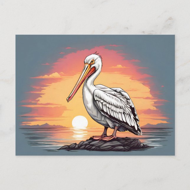 American white pelican sunset postcard (Front)