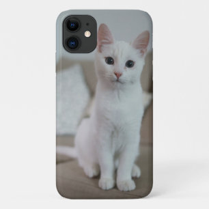 	American white shorthair cat iPhone 11 Case