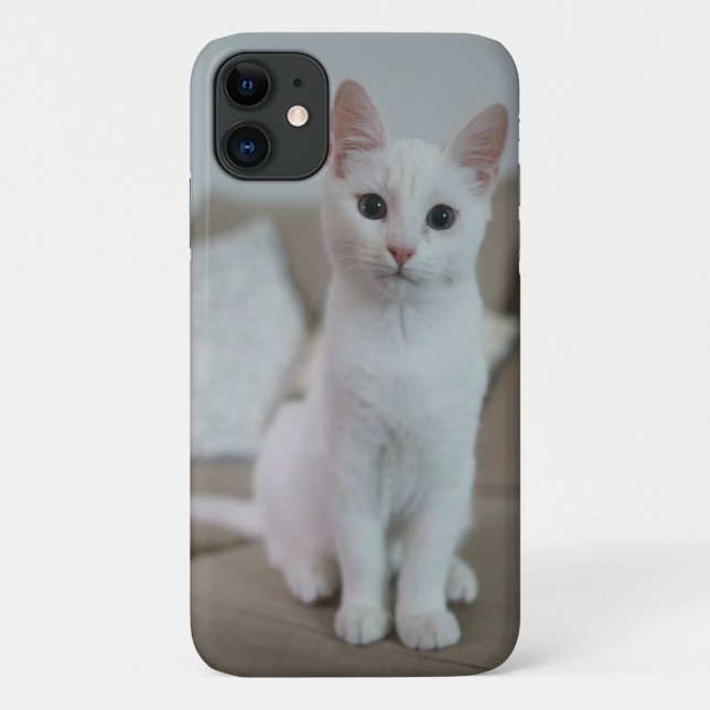 	American white shorthair cat Case-Mate iPhone Case (Back)