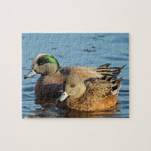 American Widgeon Ducks (Drake and Hen) Jigsaw Puzzle