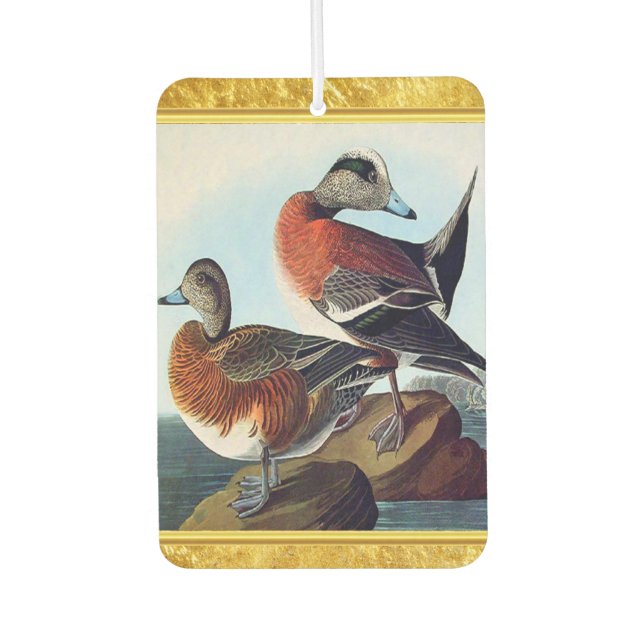 American Widgeon ducks on a rock Car Air Freshener (Front)