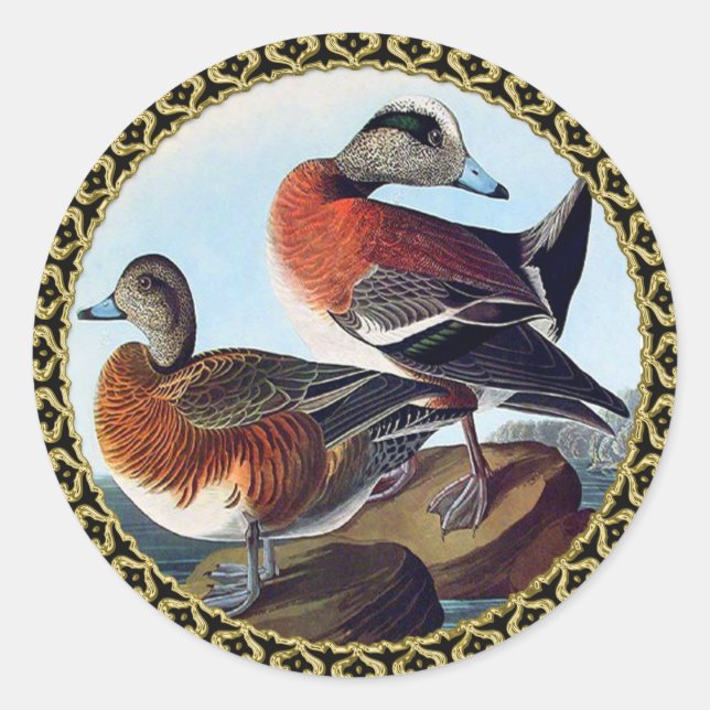 American Widgeon ducks on a rock Classic Round Sticker (Front)