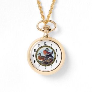 American Widgeon ducks on a rock Watch