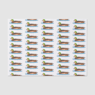 American wigeon bird cartoon illustration tissue paper