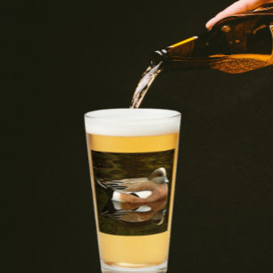 American Wigeon Duck on Pond Glass