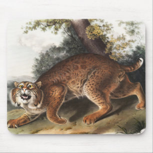 American wild cat (Lynx rufus) Illustration Mouse Mat